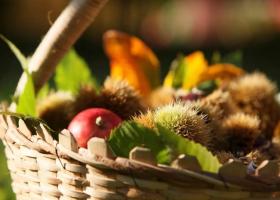 Herbstlicher Obstkorb