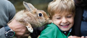 kinder-2