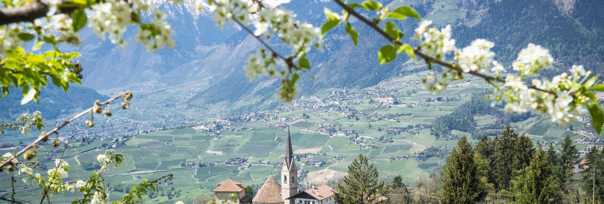 RE-OPENING IM FINKENNEST -  7 Tage wohnen 6 bezahlen oder 3 Tagesangebot mit 10 % Rabatt